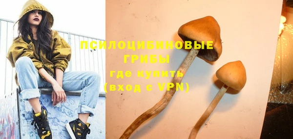 МДПВ Дмитровск
