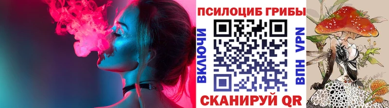 Псилоцибиновые грибы GOLDEN TEACHER Орск
