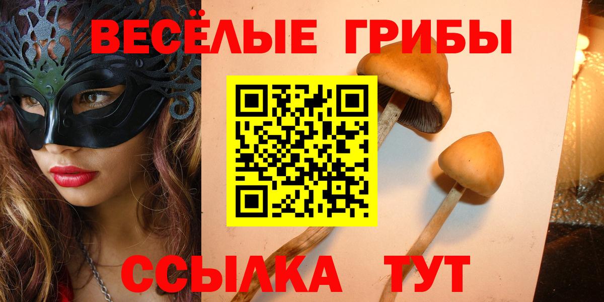 Галлюциногенные грибы мухоморы Орск