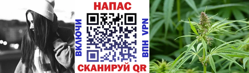 Бошки Шишки гибрид  где найти   Орск 